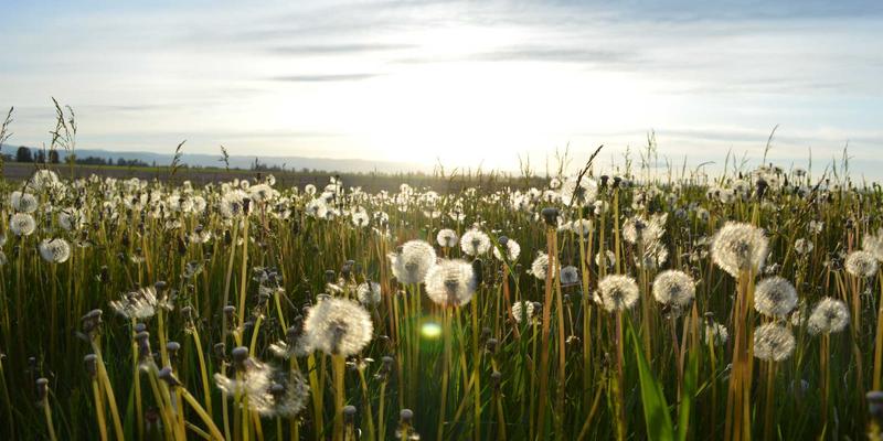 攻克EMC难关：景观照明与亮化工程中LED驱动电源的完整设计及认证指南