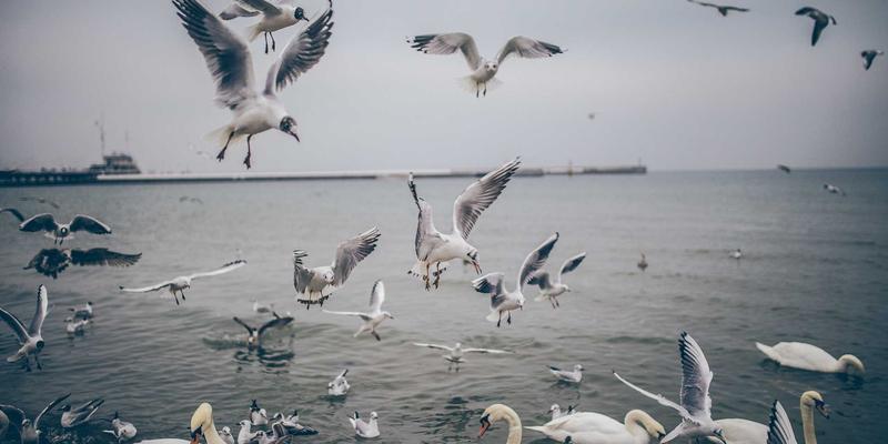 智慧之光：基于物联网的LED路灯智能控制系统如何重塑城市照明解决方案