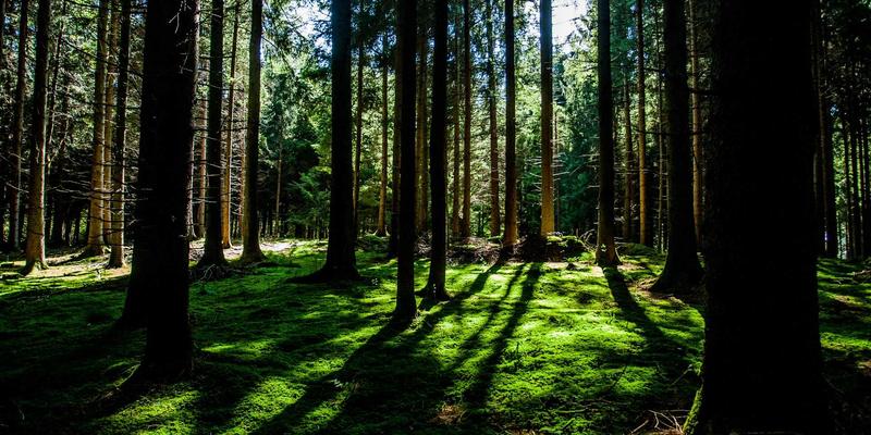 照亮安全与舒适：高可靠性LED照明在轨道交通车辆中的关键应用与振动防护设计